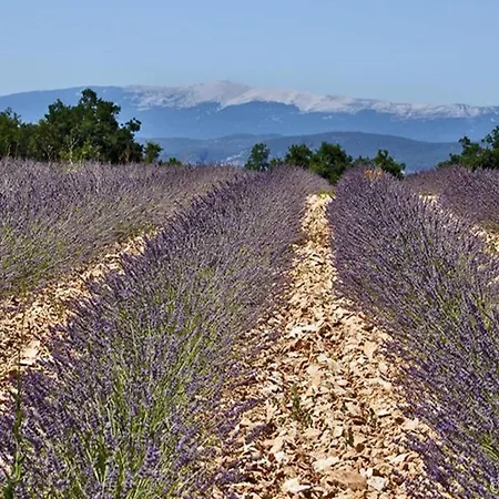 Holiday home Luxury Provencal Villa With Ac In Charming Lub Ron Region